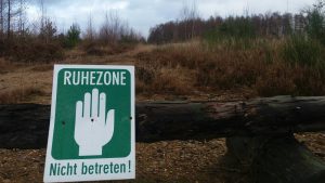 in der Drover Heide
