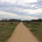 Drover Heide